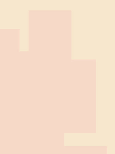 SHAPE 08