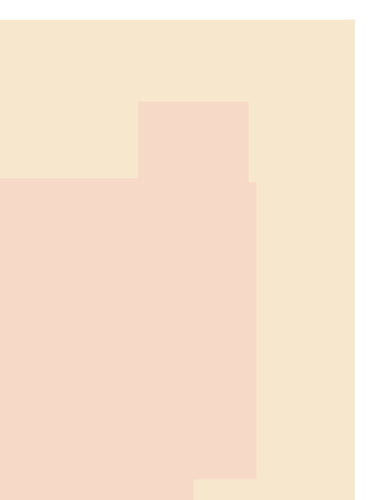 SHAPE 07